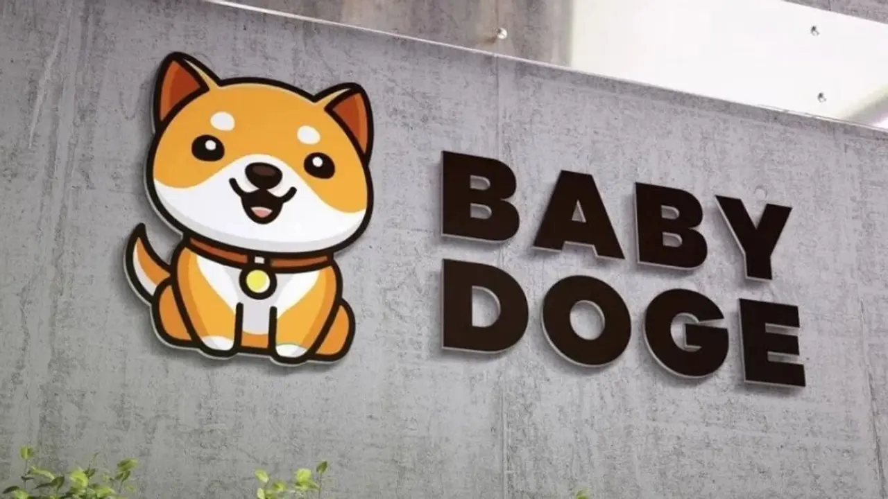 BabyDoge