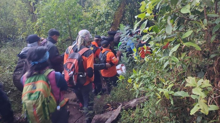 Pendaki Berbobot 99 Kg Meninggal di Gunung Lawu, Evakuasi Selama 12 Jam
