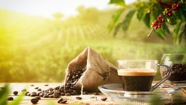 Jam Minum Kopi yang Paling Tepat Menurut Dokter